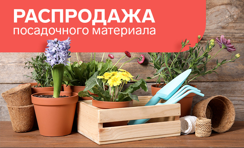 Магазины для сада и огорода региона Ивановская область