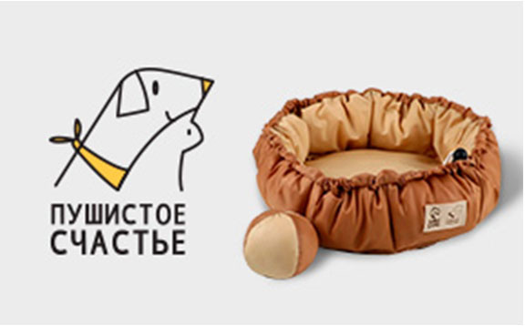 pushistoe