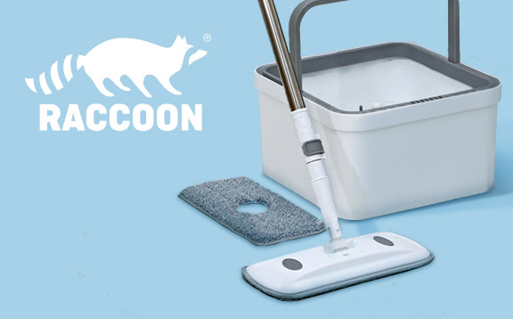 Raccoon 