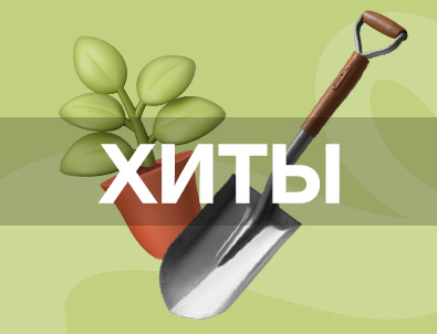 Хиты сезона