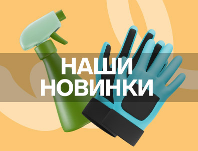 Новинки