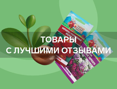 Сад