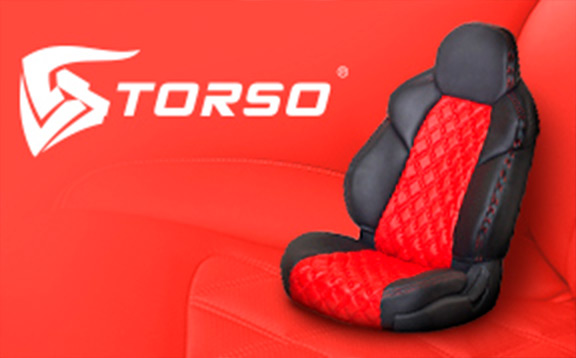 torso