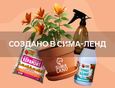 Сад и огород