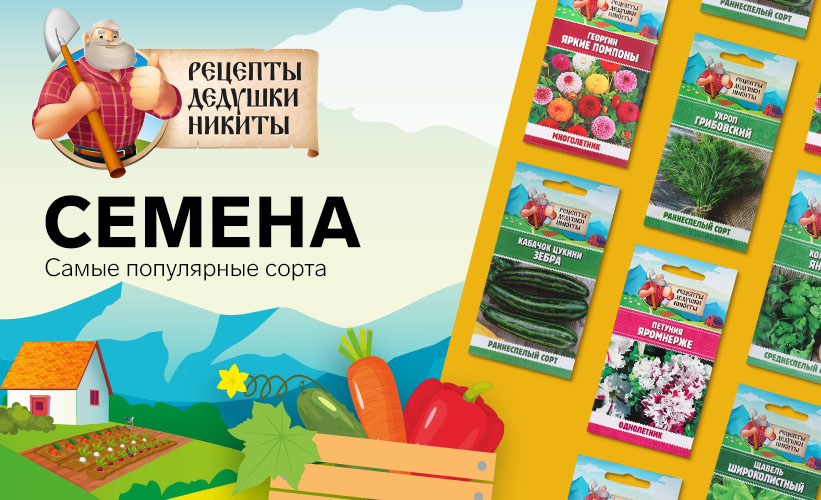 Рецепты