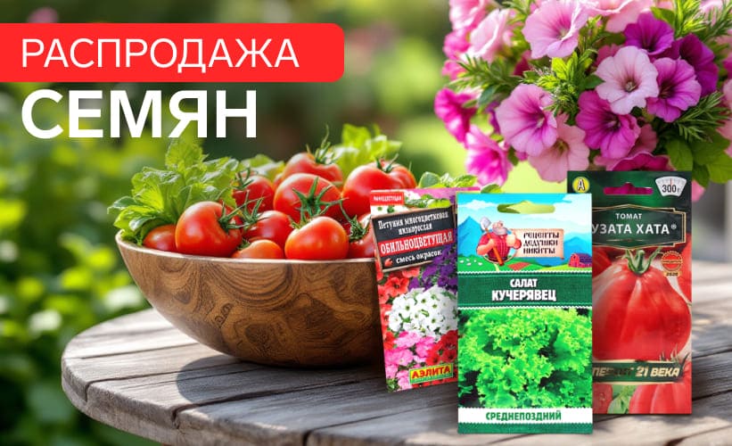 Семена