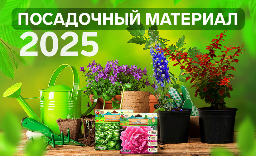 Посадочный материал