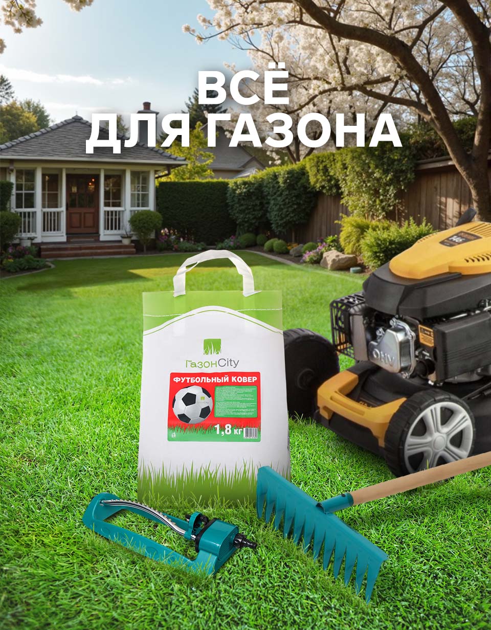 Газон