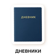 школьные дневники