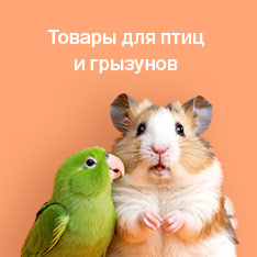 Товары для грызунов и хорьков