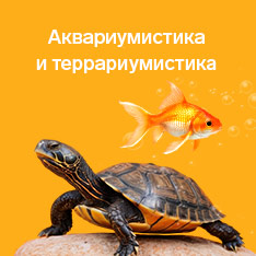 Товары для аквариумистики