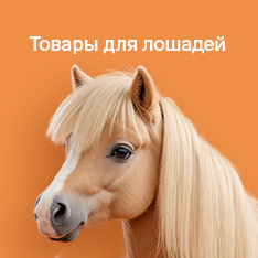 Товары для лошадей
