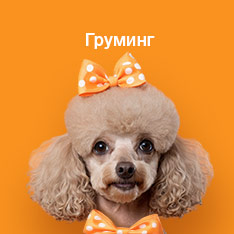 Товары для груминга