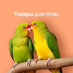 Товары для птиц