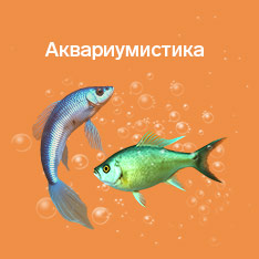 Товары для аквариумистики