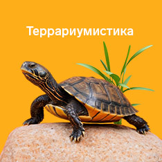 Вс для террариумов и рептилий