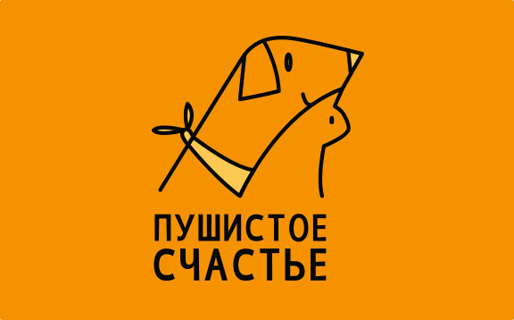 pushistoe