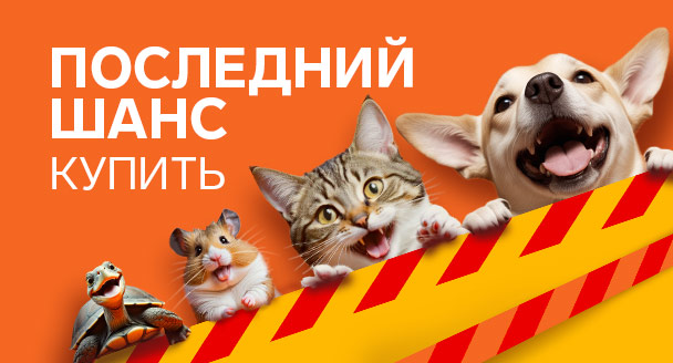 Зоотовары последний шанс купить