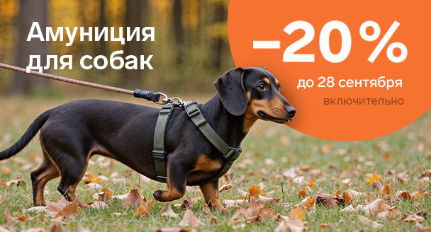 Специальные цены на амуницию для собак