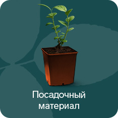 Посадочный