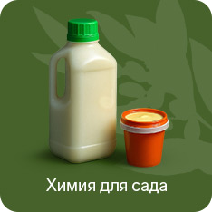 Химия