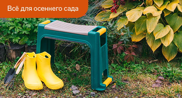 10 дел осенью