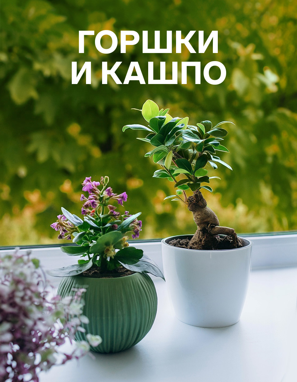 Емкости